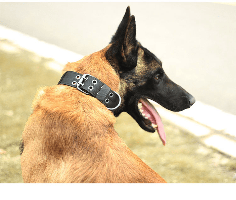 563517951