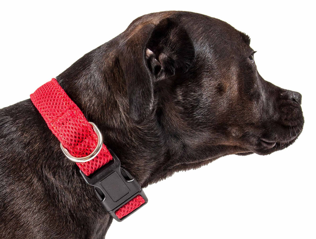 563522561